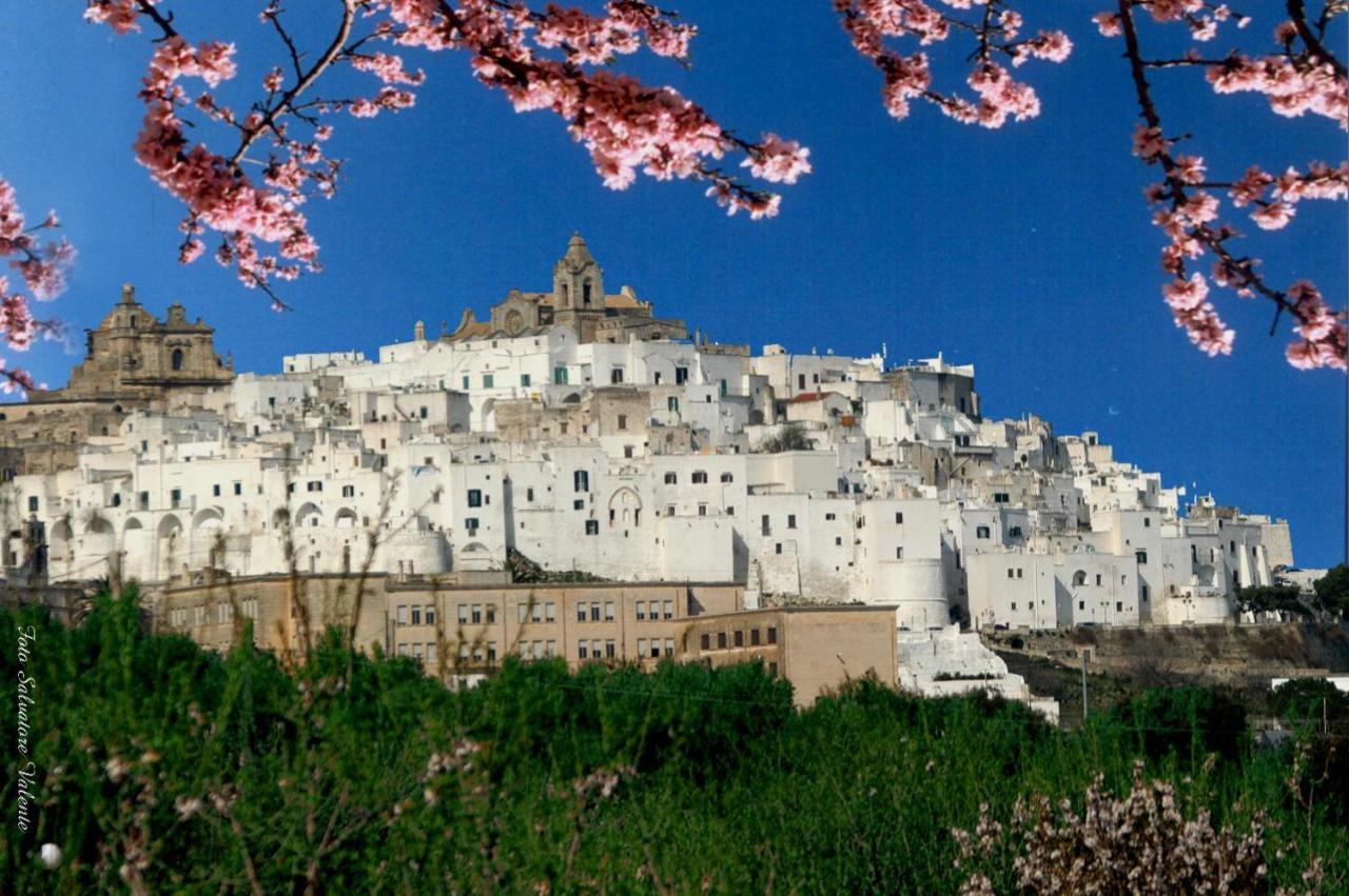 Centro Di Spiritualita Madonna Della Nova Ξενοδοχείο Ostuni Εξωτερικό φωτογραφία